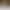 DJI Mic 2 (1 TX Pearl White)