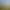 DJI Neo 2
