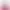 Blender Hibiscus K400 - Colore dell'anno 2023 Fucsia