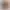 xiaomi-pad-8-pro 8GB 8GB