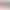 LG Monitor TV LED 24” 16:9 HD Ready Smart - 24TN520S-PZ | LG Italia Nero OLED 1366 x 768