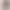 Apple Watch SE 3 - Cassa 44mm Alluminio Galassia watchOS