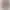 Errore 404 - Pagina non trovata Oro