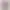 Apple Watch Series 11 Oro Rosa