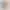 Apple Watch Series 11 GPS + Cellular Grigio