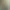 LC-2YBP9