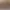 Enhanced Matte Paper, 44" x 30,5 m, 189g/m2