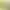 Epson Discproducer Ink PJIC7(Y), Yellow (MOQ=10)