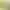 Epson Discproducer Ink Cartridge, Yellow (MOQ=10)